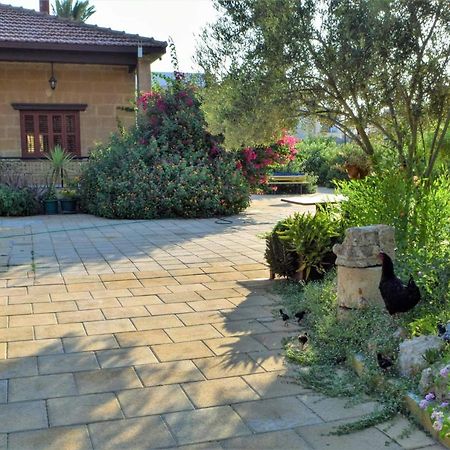 Golden Palms Guest House & Cafe Famagusta  Exterior foto